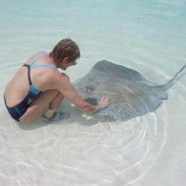 Rays on Stocking Island