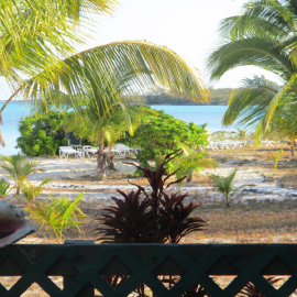 Patio view in 1 bed apartment